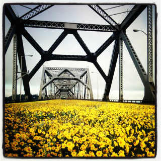 Illustration for article titled Transforming the Old Bay Bridge Into a Park for Adventure Tourists